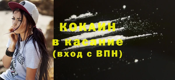 дживик Белокуриха