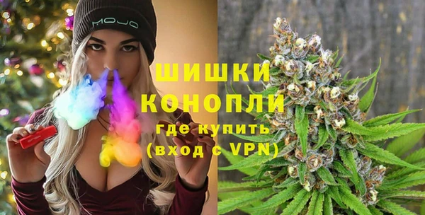 дживик Белокуриха