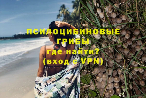 прущие крисы Белоозёрский
