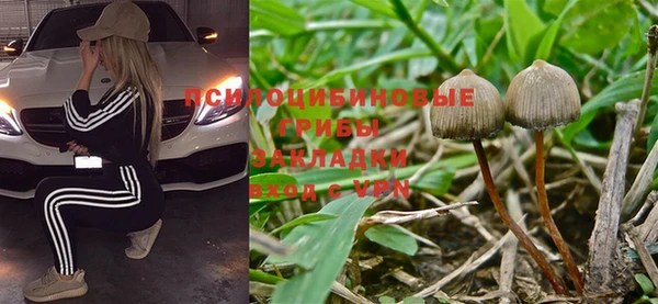 прущие крисы Белоозёрский