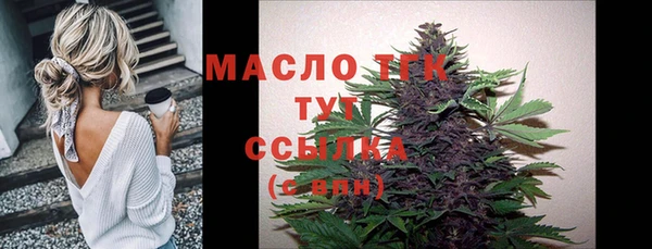2c-b Снежногорск